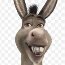 DonkeyMaster