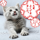 WingKiki求其玩吓姐