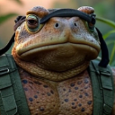 Maui Waui