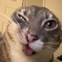 DABID