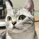 GevCat