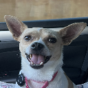 Lady Lyla