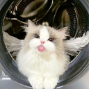 meow