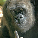 King Kong