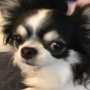 つこっち