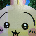 usagi