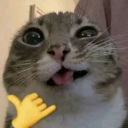 bacangcimen