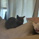 Baby Freya