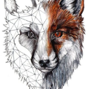 DangerFox