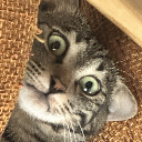 凸 Mystery 凸