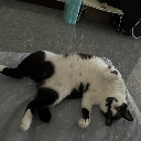 阿均仔ღʕ·͡ᴥ፝֟·ʔ