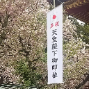 豆 爺さん