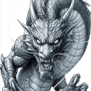 Dragon1206
