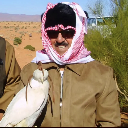 مغوار
