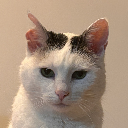 KiciaVonMiau