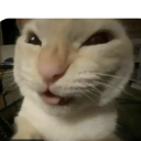 Skemwehehe