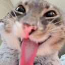 Jankok