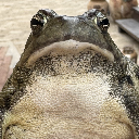 Sir Benjamin