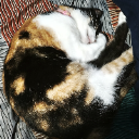 JarIaz