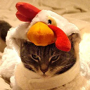 SpyChicken