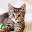 Meow