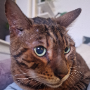 LordLou