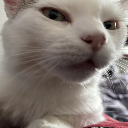 muzon