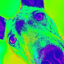 imageofyou