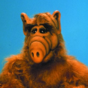 Alf