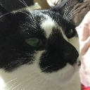 沈黙農場