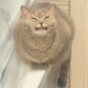 Jykelot