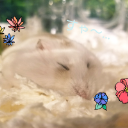 たまもっちさん
