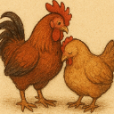 Chicken Tender
