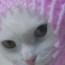 양아언니