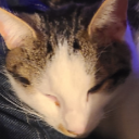 LilLadyChaos