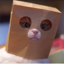 catJAM