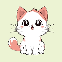 Kitten