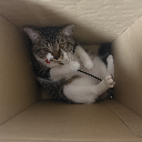 Kitetu