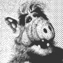 Alf