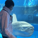 不立男
