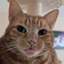 Pasco