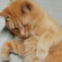 Sir Babinn