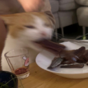 Gooongback