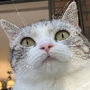 Philip