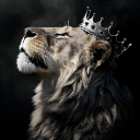 I AM THE KING
