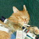 DrunkAsmoth