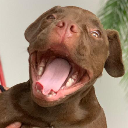 LilRag
