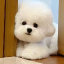 George