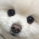 미히히mihee