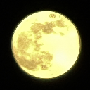 BarkAtTheMoon